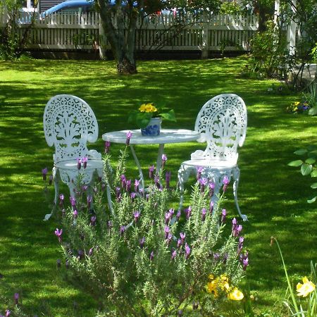 The Saddlery Bed and Breakfast Greytown Exterior foto