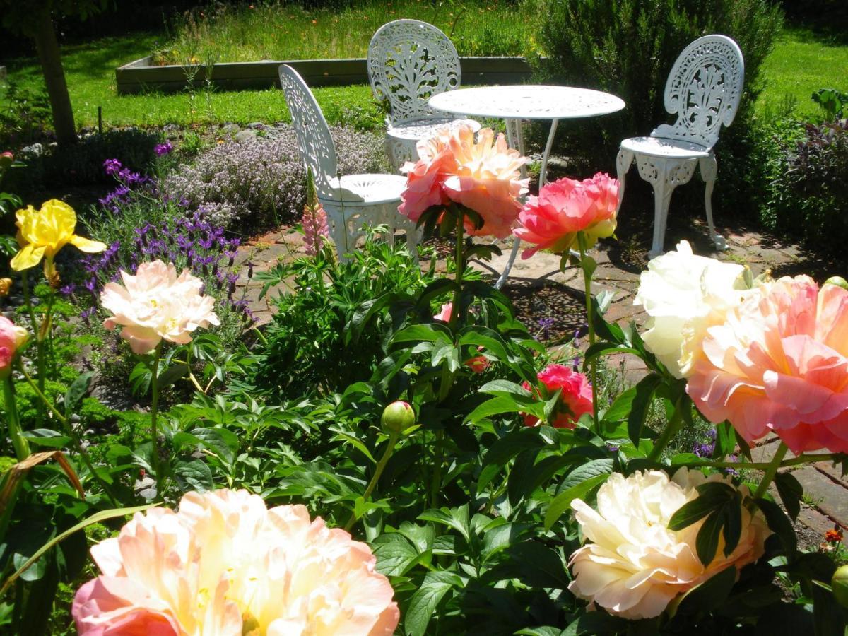 The Saddlery Bed and Breakfast Greytown Exterior foto